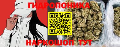 индика Мариинск