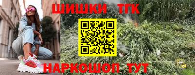 индика Мариинск