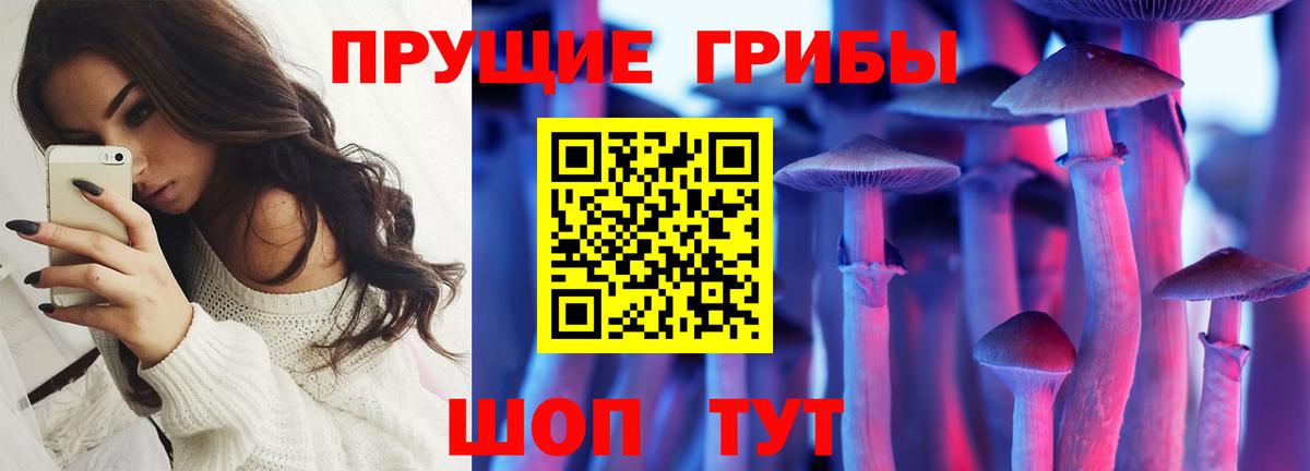 Псилоцибиновые грибы Magic Shrooms  даркнет сайт  Вход с VPN  Шатура  Псилоцибиновые грибы Cubensis 